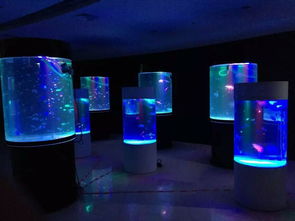 服務好的景觀海洋生物展租賃公司推薦 寶山城市工業園區海洋展出租